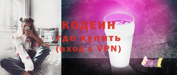 шишки Верея